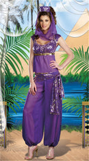 the GENIE IN A BOTTLE - Sexy Goddess Belly Dancer Dress Adult Arabic Dance Costume Jasmine Genie Aladdin Princess Halloween Fancy Women Dress Sets