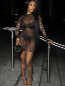 the TABITHA - Sexy See-Through Leopard Print Full Sleeve Stretch Mini Bodycon Dress