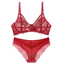 the DELICATE PETAL - New Sexy Ultra-Thin Transparent Lace Bra and Lingerie Set