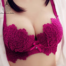 the PERFECT VIEW - Sexy Lingerie Push Up Bra Set