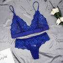 the SULTRY - Women Ultra-Thin Cup Bra & Lingerie Set