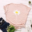 the DAISY GIRL - Women Cute Daisy Print T-Shirt
