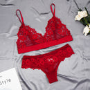 the SULTRY - Women Ultra-Thin Cup Bra & Lingerie Set